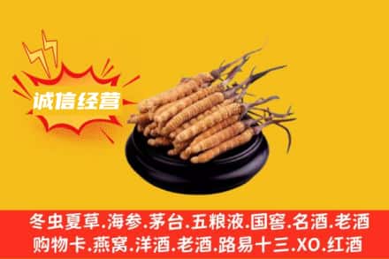 本溪市明山回收冬虫夏草